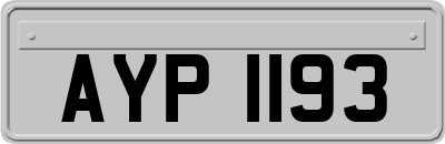 AYP1193