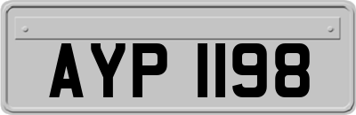 AYP1198
