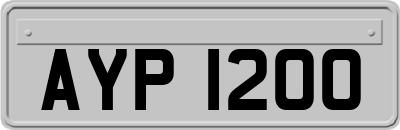 AYP1200