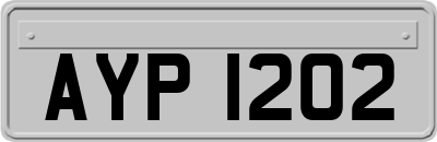 AYP1202