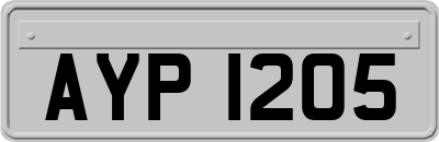 AYP1205