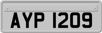 AYP1209