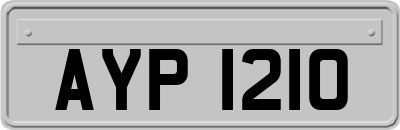 AYP1210