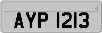 AYP1213