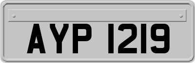 AYP1219