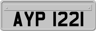 AYP1221