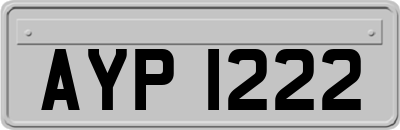 AYP1222