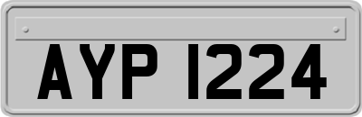 AYP1224