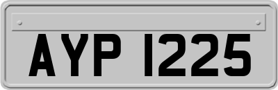 AYP1225