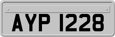 AYP1228