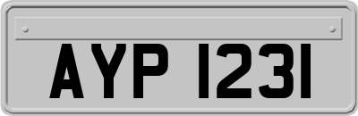 AYP1231