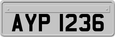 AYP1236