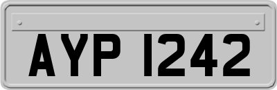 AYP1242