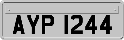 AYP1244