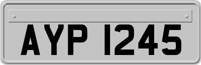 AYP1245