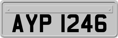 AYP1246