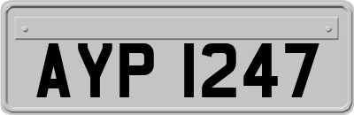 AYP1247