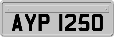 AYP1250