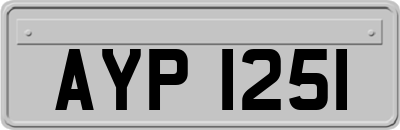 AYP1251