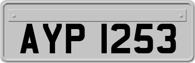 AYP1253