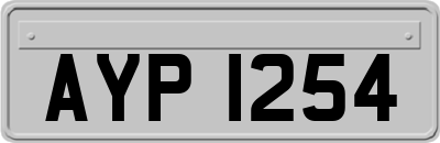 AYP1254