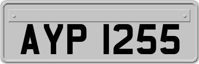 AYP1255