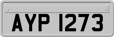 AYP1273