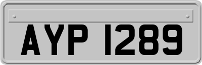 AYP1289