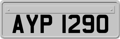 AYP1290