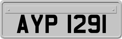 AYP1291