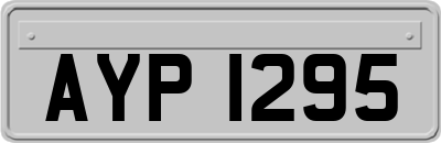AYP1295