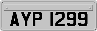 AYP1299