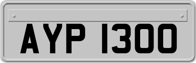 AYP1300