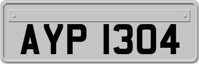 AYP1304