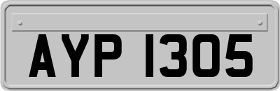 AYP1305