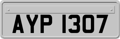 AYP1307