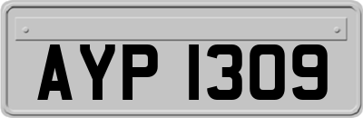 AYP1309