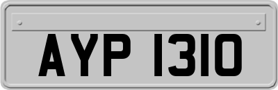 AYP1310
