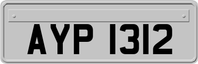 AYP1312