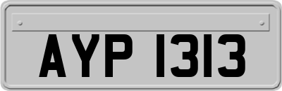 AYP1313