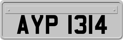 AYP1314