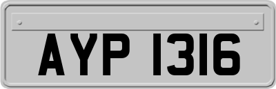 AYP1316
