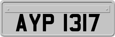AYP1317