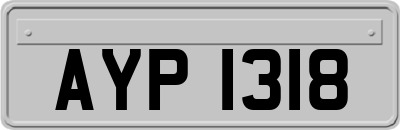 AYP1318
