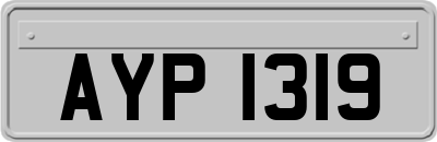 AYP1319