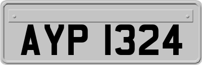 AYP1324