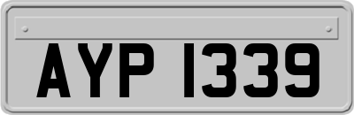 AYP1339