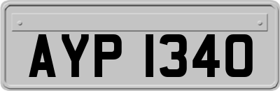 AYP1340
