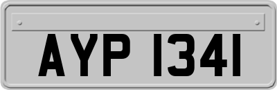 AYP1341