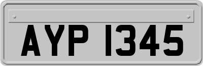 AYP1345